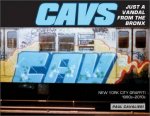 CAVS Just A Vandal From The Bronx New York City Graffiti 1980s2010s