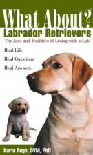 What About Labrador Retrievers