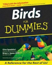 Birds For Dummies