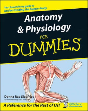 Anatomy And Physiology For Dummies by Donna Rae Siegfried