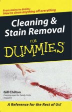Cleaning And Stain Removal For