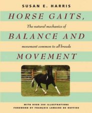 Horse Gaits Balance And Movement