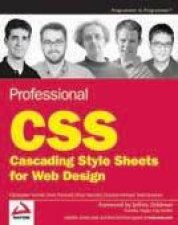 Professional CSS Cascading Style Sheets For Web Design