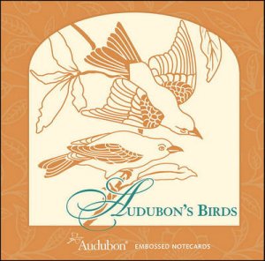 Audubon's Birds Square Embossed Boxed Notecards (0 by John James Audubon