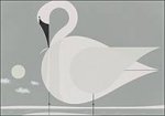 Trumpeter Swan Notelets 0116