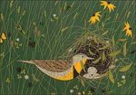 Eastern Meadowlark Notelets 0117