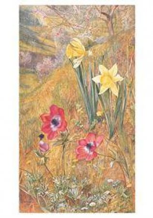 Anemones and Daffodils Notelets 0126 by Henry Roderick Newman