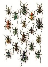 Walking Weevils Medium Notepad