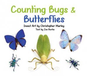 Counting Bugs & Butterflies by Zoe Burke