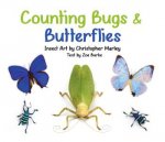 Counting Bugs  Butterflies