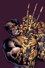 Wolverine The Best There Is