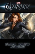 Marvels The Avengers Black Widow Strikes