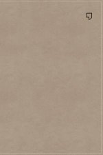 NET Thinline Bible Large Print Stone
