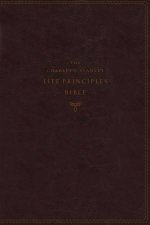 KJV Charles F Stanley Life Principles Bible 2nd Ed Burgundy