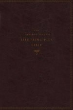 KJV Charles F Stanley Life Principles Bible 2nd Ed Burgundy