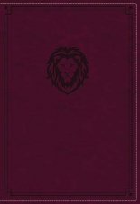 KJV Thinline Bible Youth Red Letter Edition Burgundy