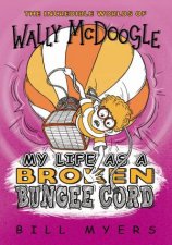 My Life As A Broken Bungee Cord