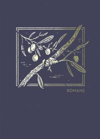 NET Abide Bible Journal - Romans, Paperback, Comfort Print: Holy Bible by Thomas Nelson