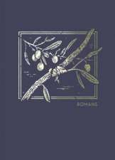 NET Abide Bible Journal  Romans Paperback Comfort Print Holy Bible