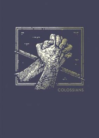 NET Abide Bible Journal - Colossians, Paperback, Comfort Print: Holy Bible by Thomas Nelson