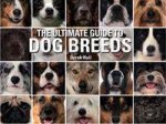 The Ultimate Guide To Dog Breeds