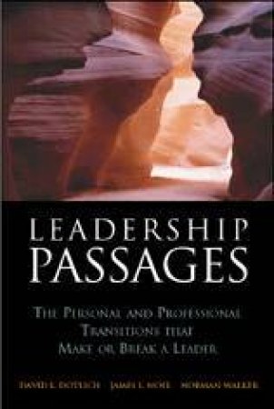 Leadership Passages by David Dotlich, James Noel & Norman Walker