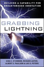Grabbing Lightning Building A Capability For Breakthrough Innovation
