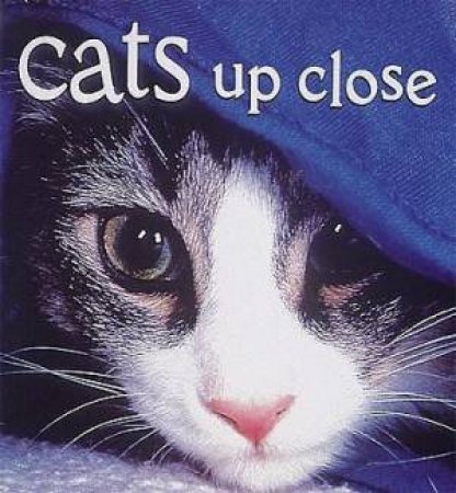 Cats Up Close: Miniseries by Vicki Croke
