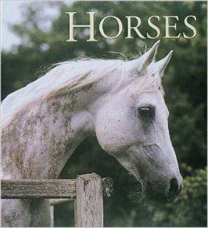 Horses by John Downs