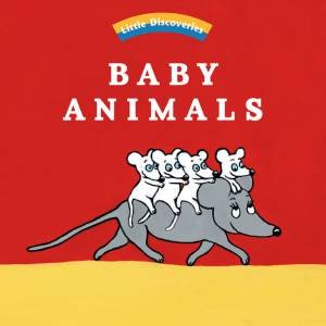 Baby Animals: Little Discoveries by Ophlie Texier