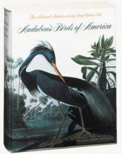 Audubons Birds of America The National Audubon Society