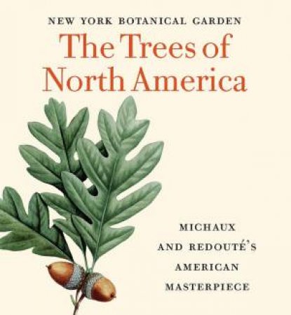 The Trees Of North America: Michaux And Redoute's American Masterpiece by Gregory Long