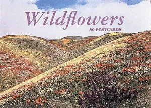 Wildflowers Postcard Book by Various