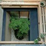 Pocket Gardens