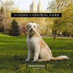 The Dogs of Central Park