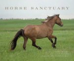 Horse Sanctuaries
