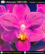 Ultimate Orchid