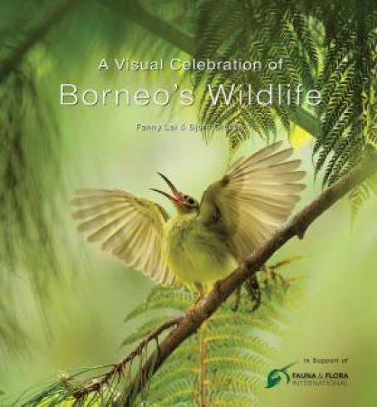 A Visual Celebration Of Borneo's Wildlife by Fanny Lai & Bjorn Olesen