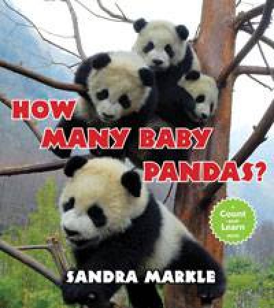 How Many Baby Pandas by Sandra Markle 
