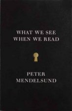 What We See When We Read