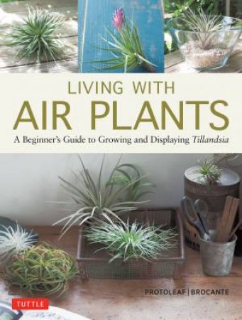 Living With Air Plants by Yoshiharu Kashima & Yukihiro Matsuda