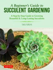 A Beginners Guide To Succulent Gardening