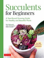 Succulents For Beginners