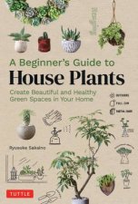 A Beginners Guide To House Plants