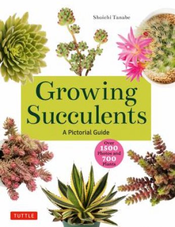 Growing Succulents by Shoichi Tanabe