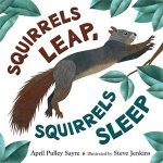 Squirrels Leap Squirrels Sleep
