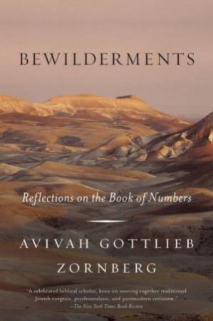 Bewilderments by Avivah Gottlieb Zornberg