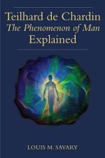 Teilhard De Chardins The Phenomenon Of Man Explained