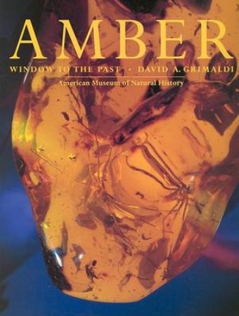 Amber:Window To The Past by Grimaldi David A