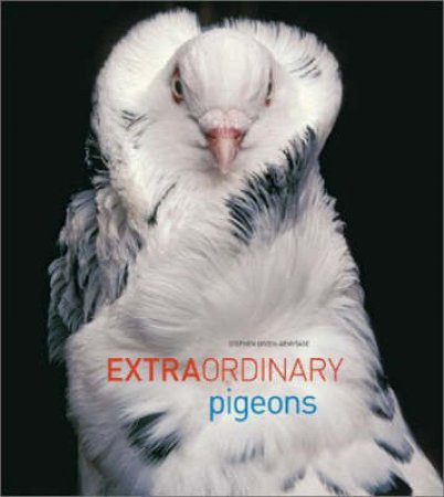 Extraordinary Pigeons by Green-Armytage Stephen